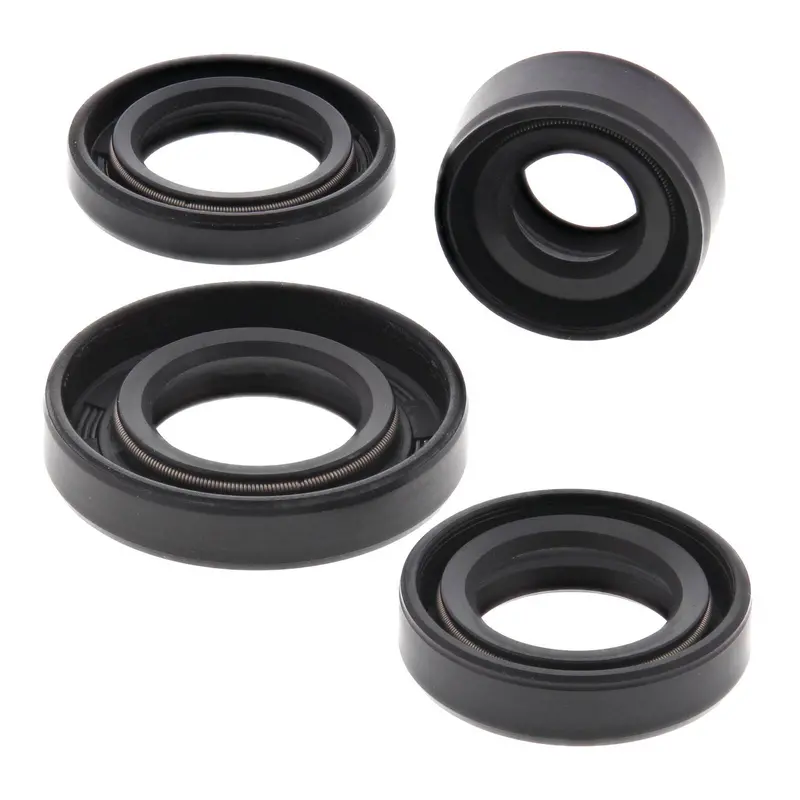 Oil Seal Kit 822162 1