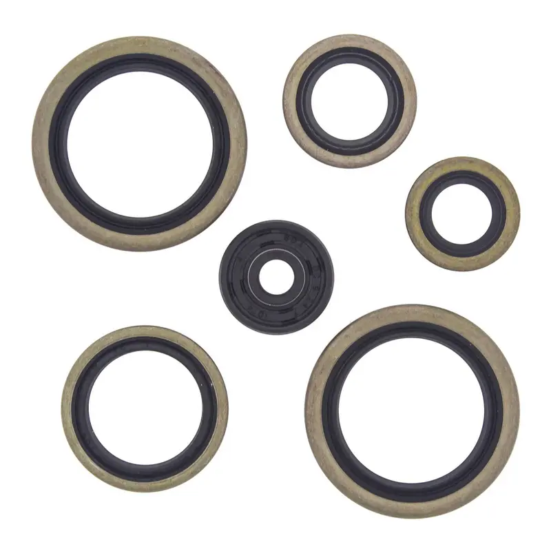 Oil Seal Kit 822187 1
