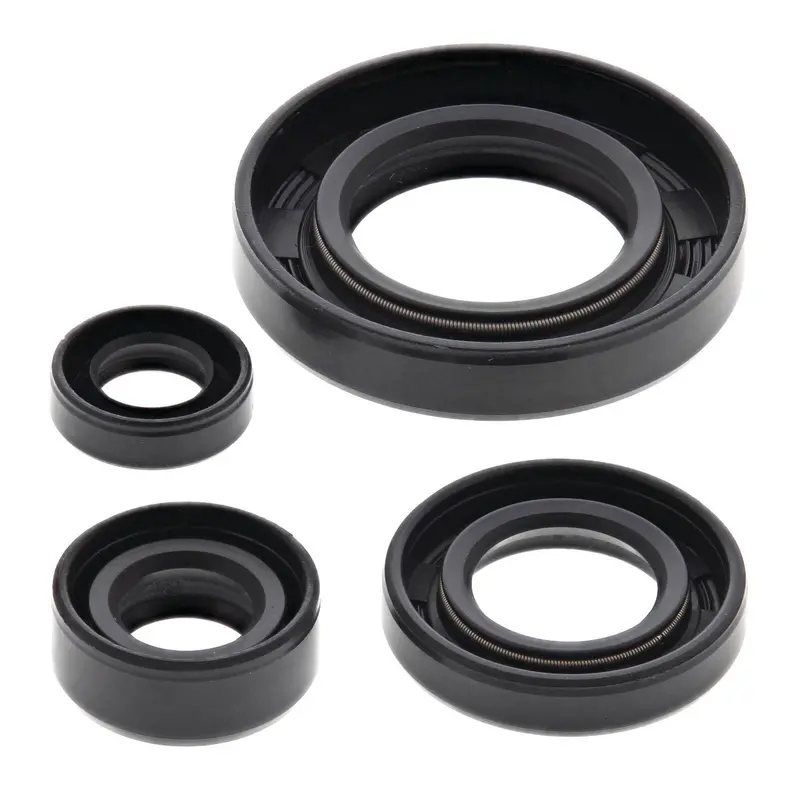 Oil Seal Kit 822195 1