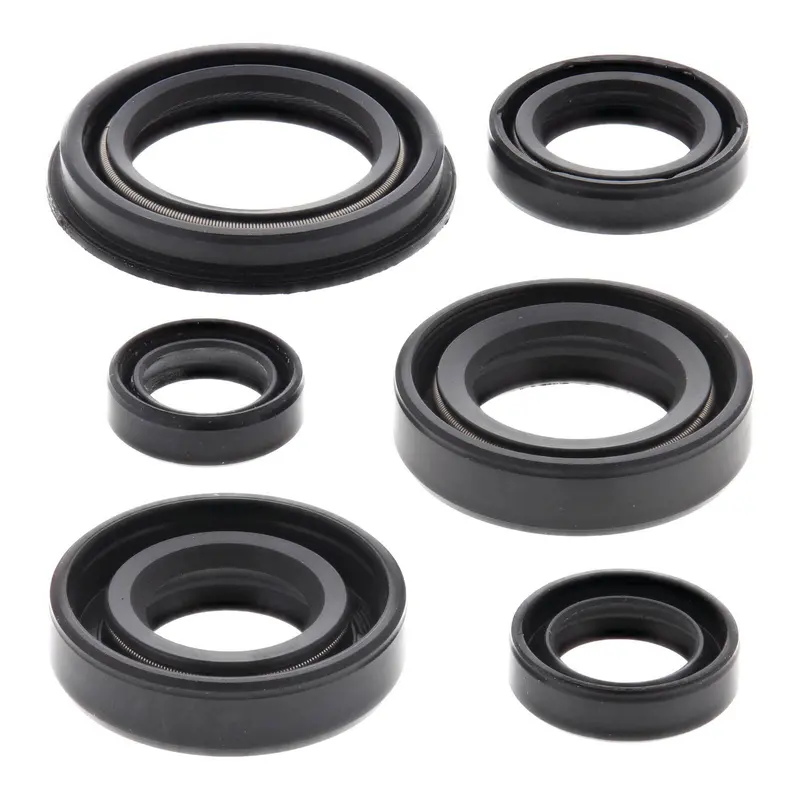 Oil Seal Kit 822220 1