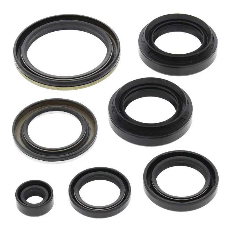 Oil Seal Kit 822239 1