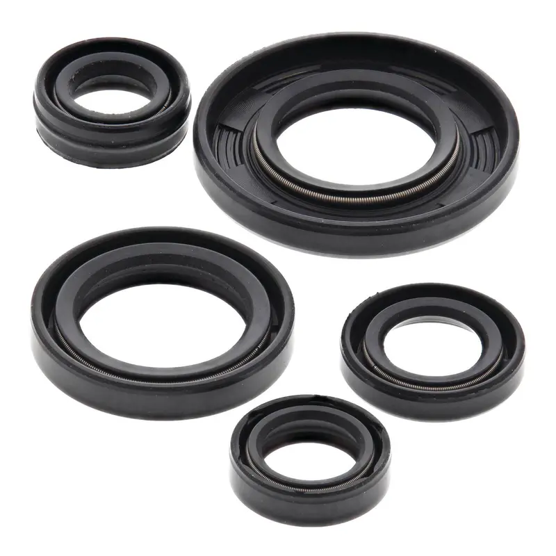 Oil Seal Kit 822240 1