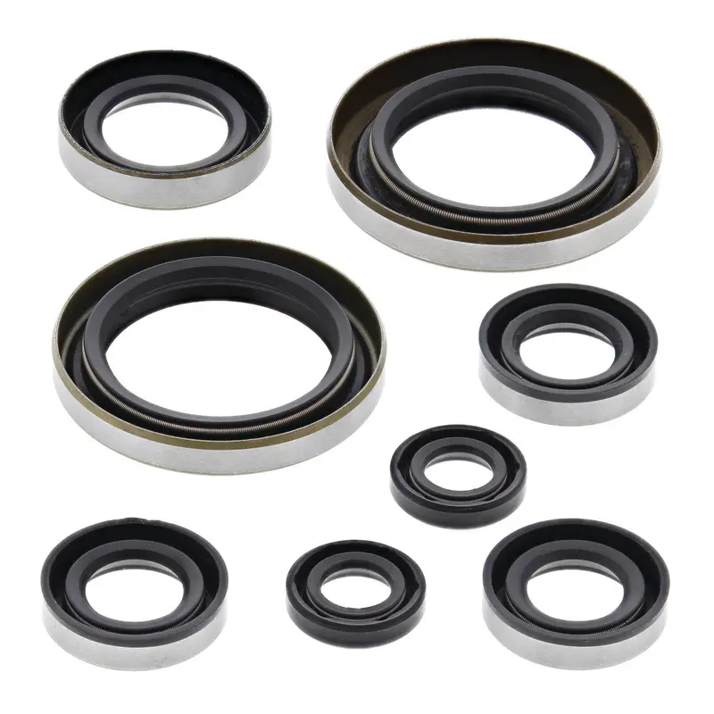 Oil Seal Kit 822274 1