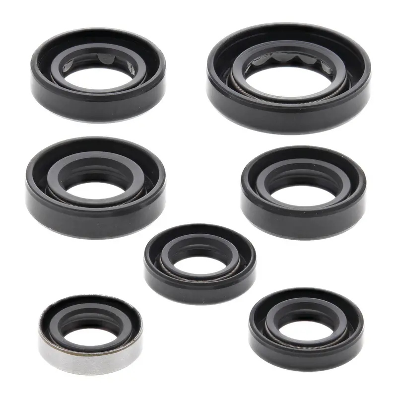 Oil Seal Kit 822289 1