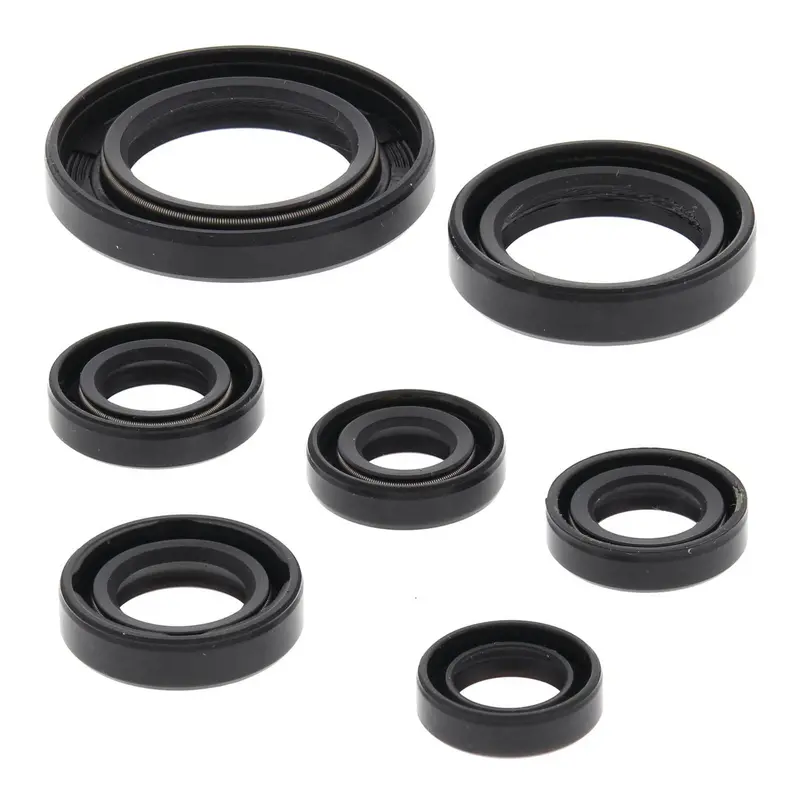 Oil Seal Kit 822311 1
