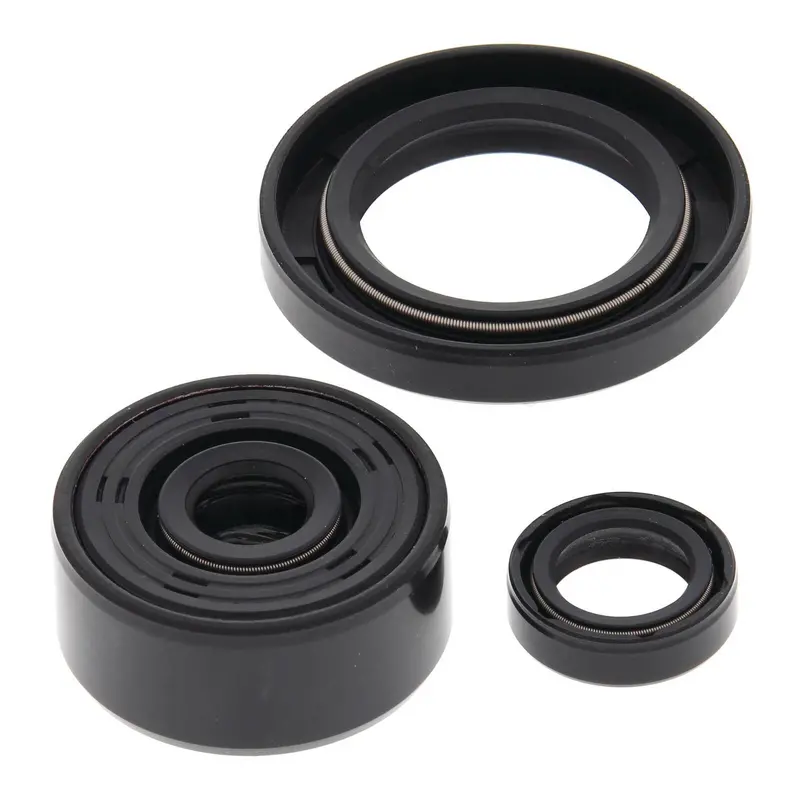 Oil Seal Kit 822339 1
