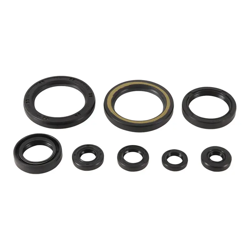 Oil Seal Kit 822378 1