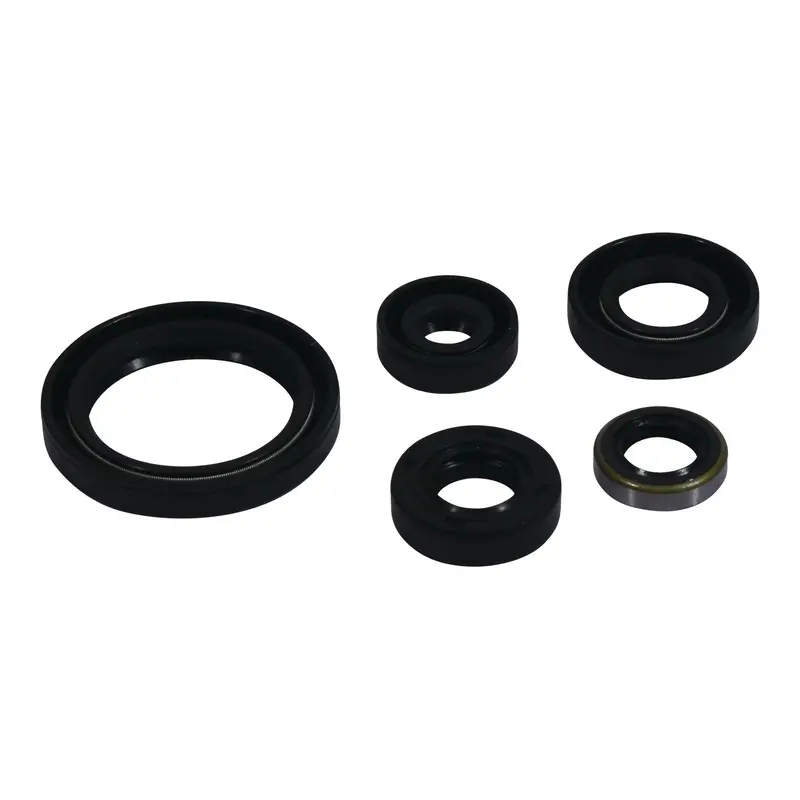 Oil Seal Kit 822380 1