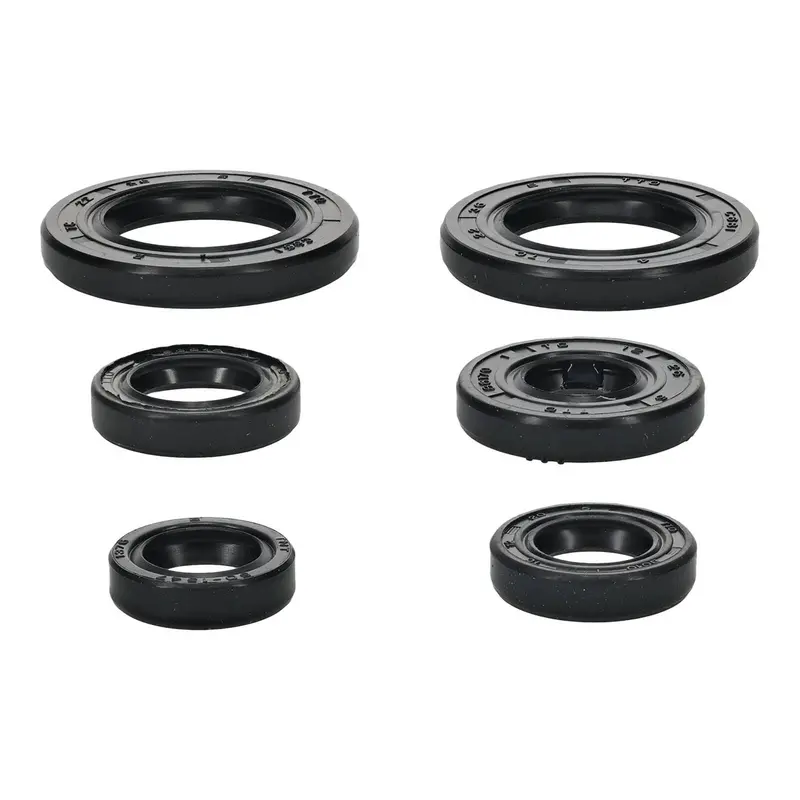 Oil Seal Kit 822391 1