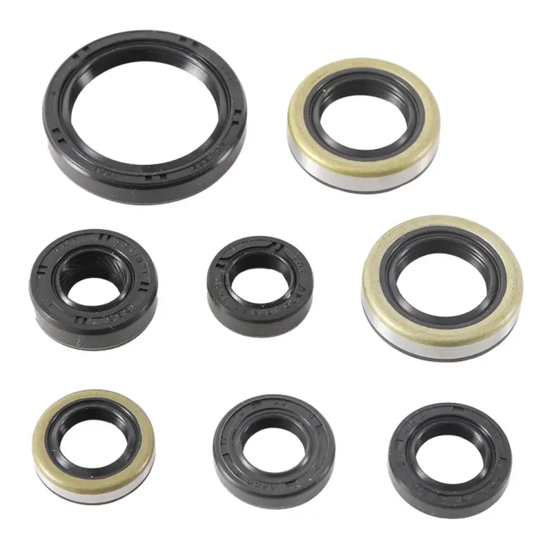 Oil Seal Kit 822485 1
