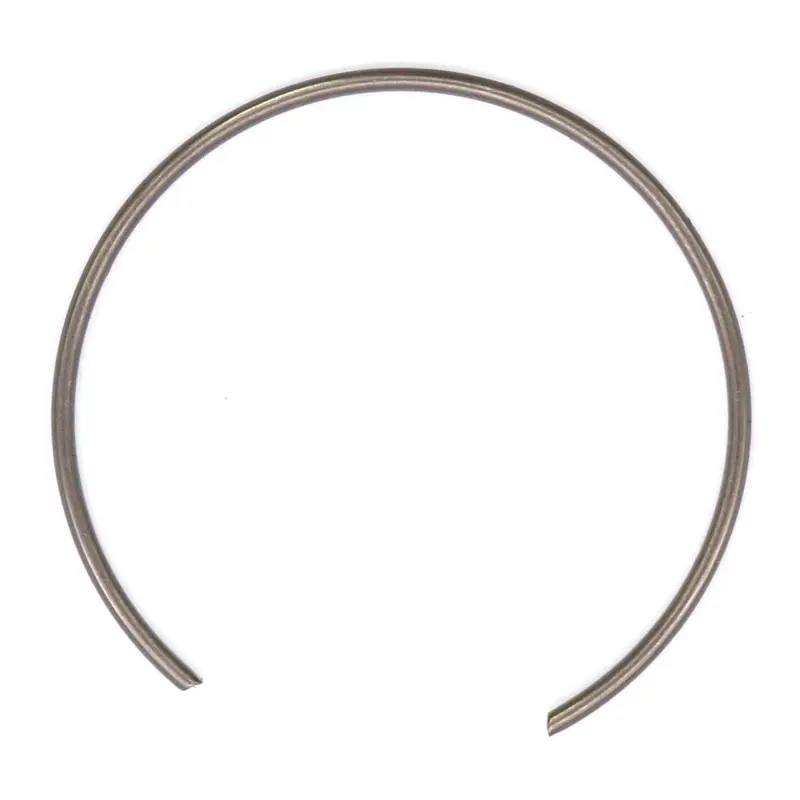 Pinion Bearing Ring 1
